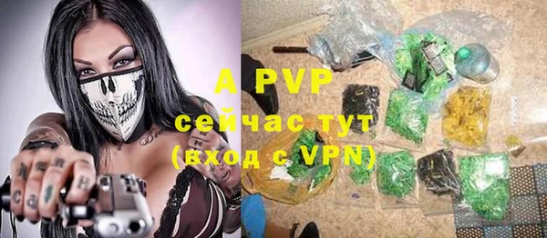 apvp Надым